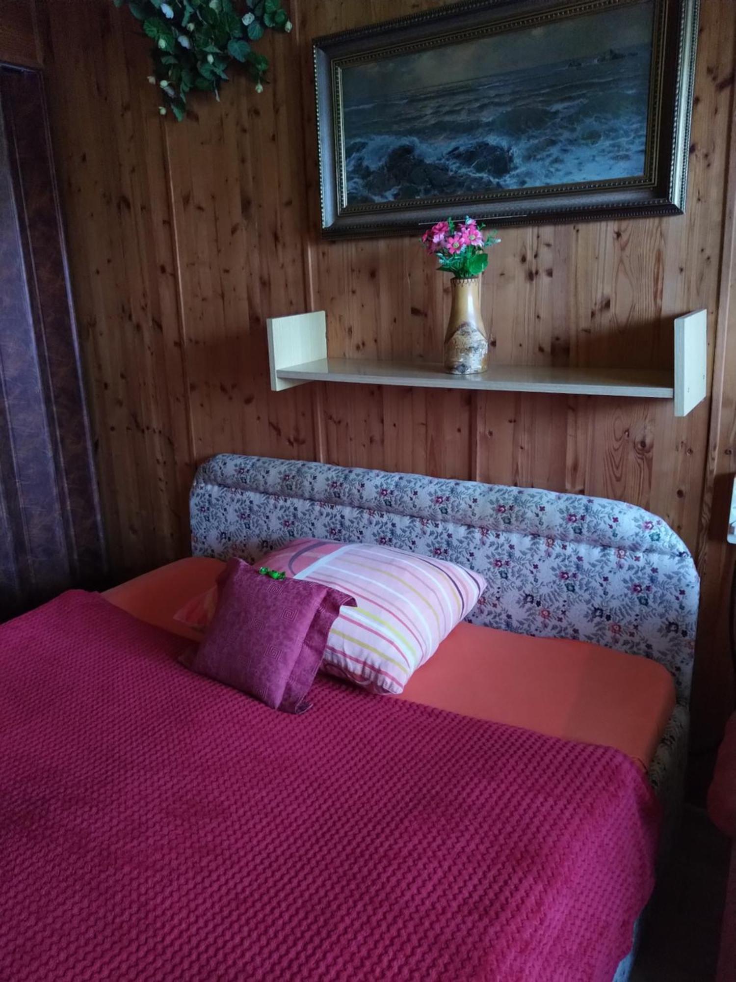 Pension Nika Český Krumlov Buitenkant foto